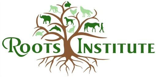 ROOTS Institute